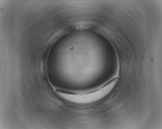 X0000078230219200611251222