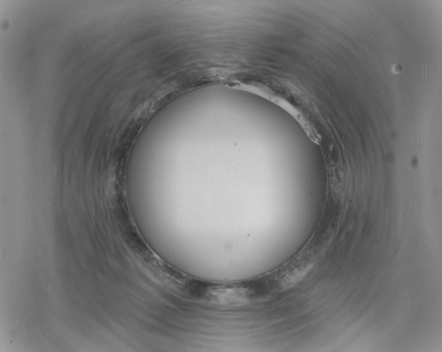 X0000078230221200611251222