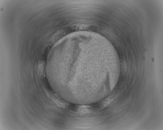 X0000078230222200611251222