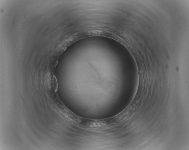 X0000078230223200611251222