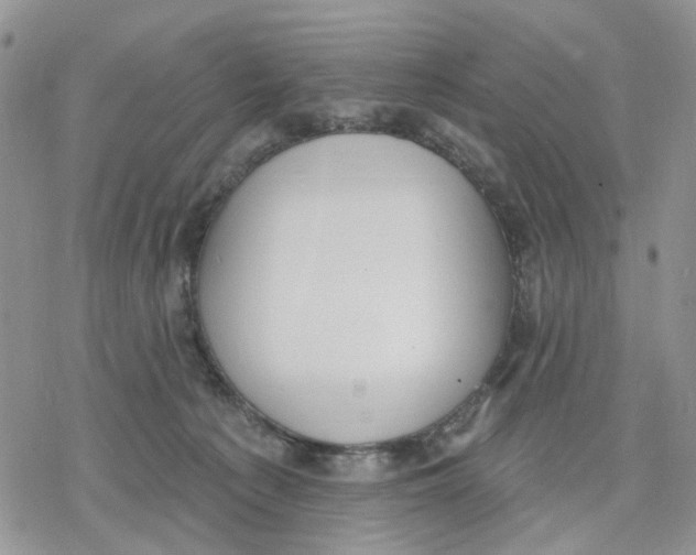 X0000078230225200611251222