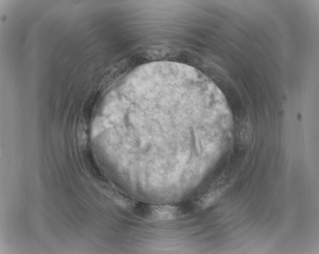 X0000078230226200611251222