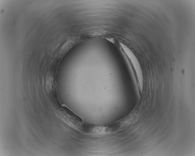 X0000078230227200611251222