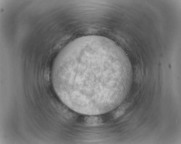 X0000078230230200611251222