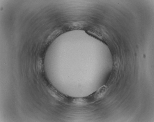 X0000078230231200611251222