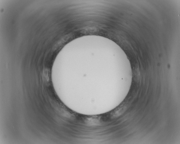 X0000078230232200611251222