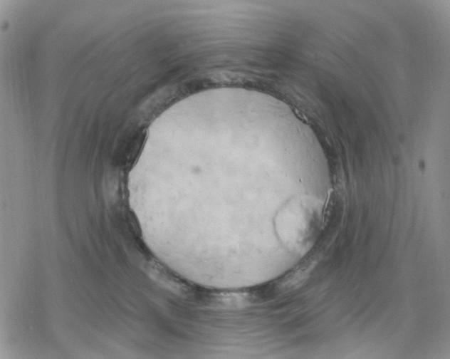 X0000078230233200611251222