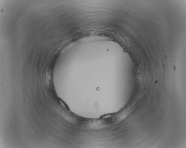 X0000078230235200611251222