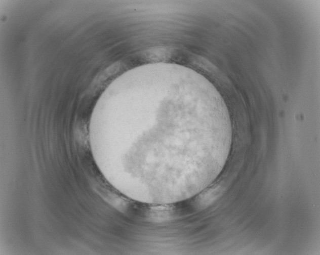 X0000078230240200611251222