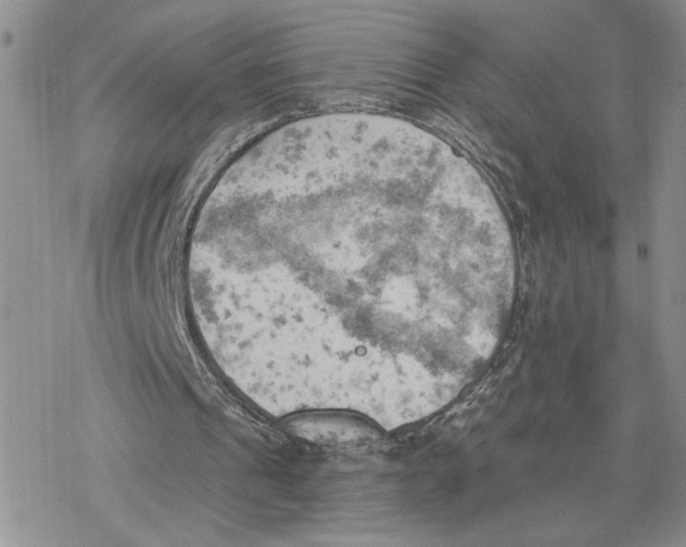 X0000078230241200611251221