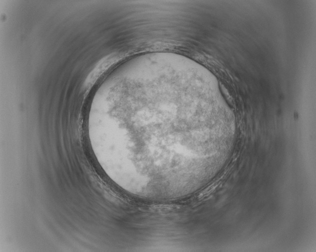 X0000078230242200611251221