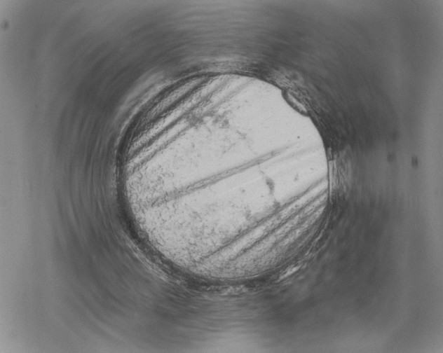 X0000078230243200611251221