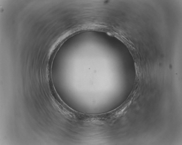 X0000078230244200611251221