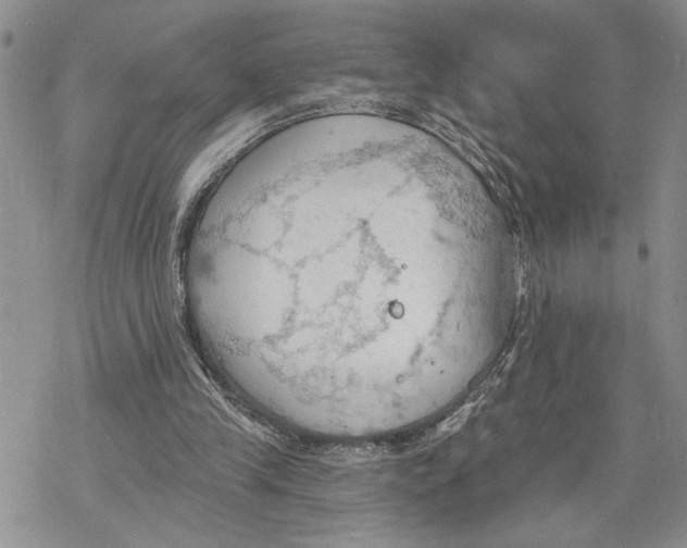 X0000078230245200611251221