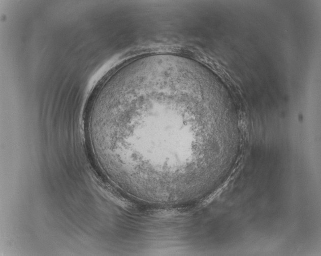 X0000078230246200611251221