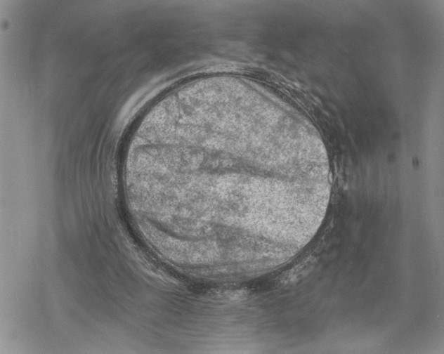 X0000078230247200611251221