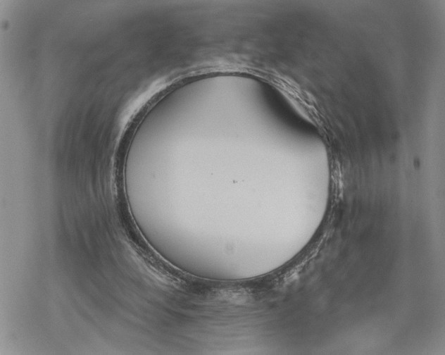 X0000078230248200611251221