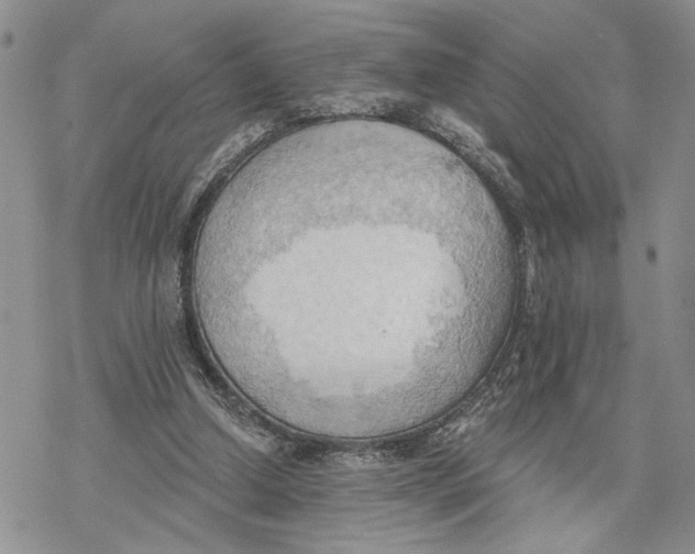 X0000078230250200611251221