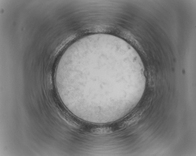 X0000078230251200611251221