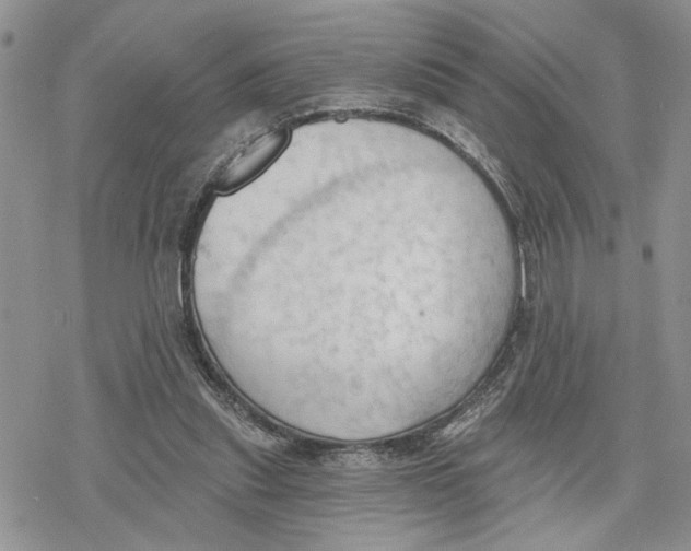 X0000078230253200611251221