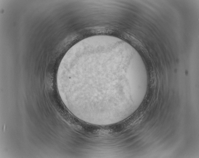 X0000078230255200611251221