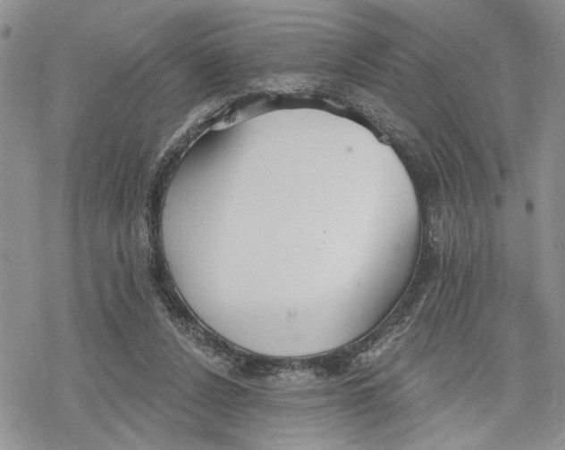 X0000078230256200611251221