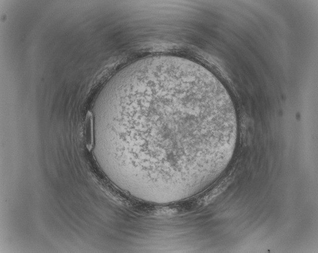 X0000078230257200611251221