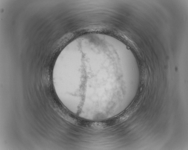 X0000078230261200611251221