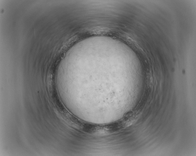 X0000078230263200611251221