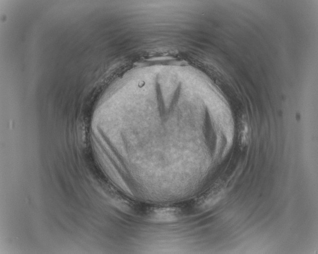 X0000078230268200611251221