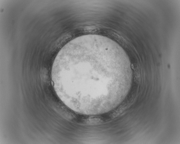 X0000078230270200611251221