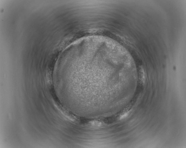 X0000078230272200611251221