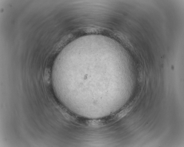 X0000078230273200611251221