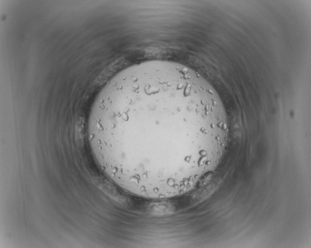 X0000078230275200611251221