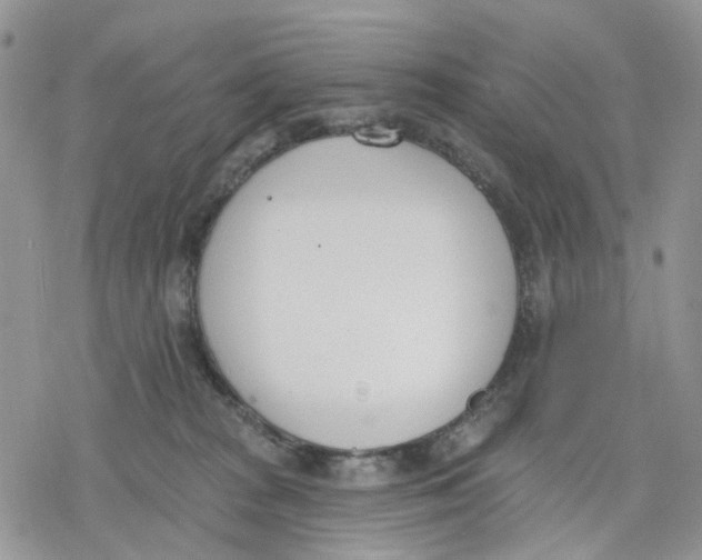 X0000078230277200611251221