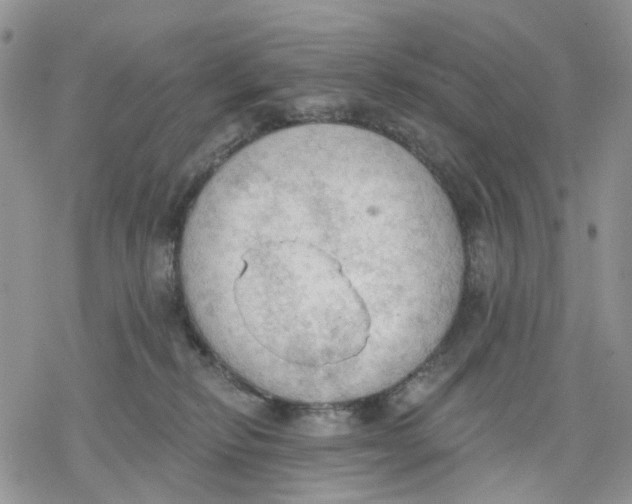 X0000078230278200611251221