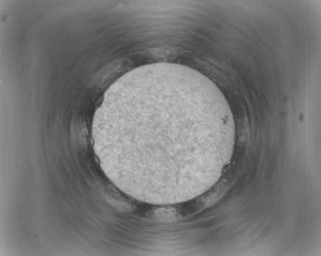 X0000078230279200611251221