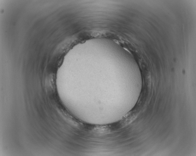 X0000078230280200611251221