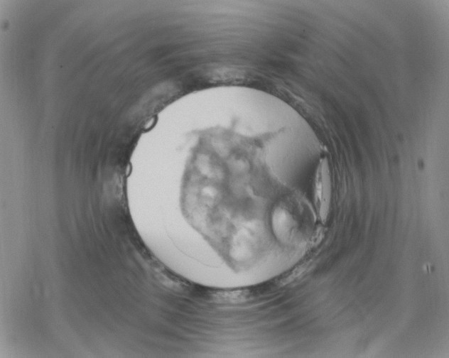 X0000078230281200611251221