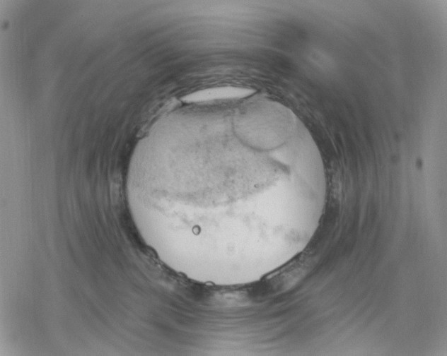 X0000078230283200611251221