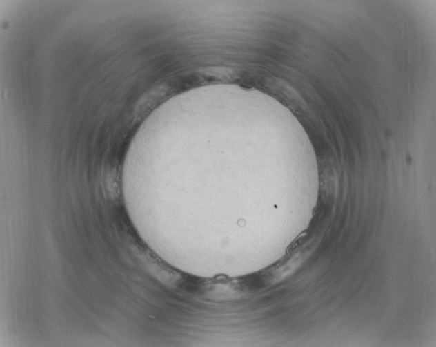 X0000078230285200611251222