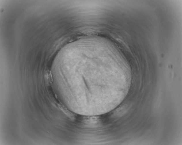 X0000078230288200611251222