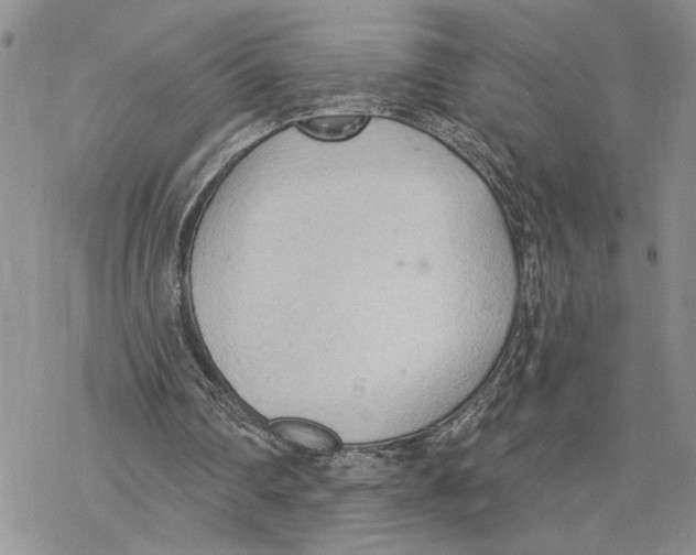 X0000078230290200611251221