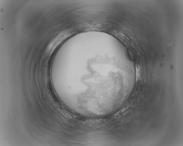 X0000078230291200611251221