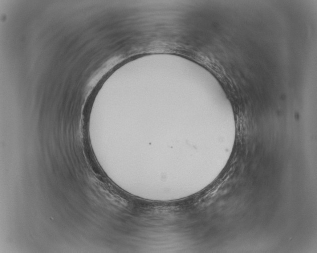 X0000078230292200611251221