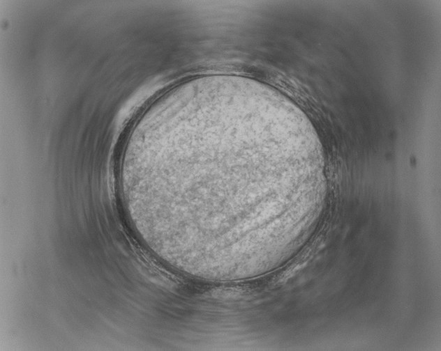 X0000078230294200611251221