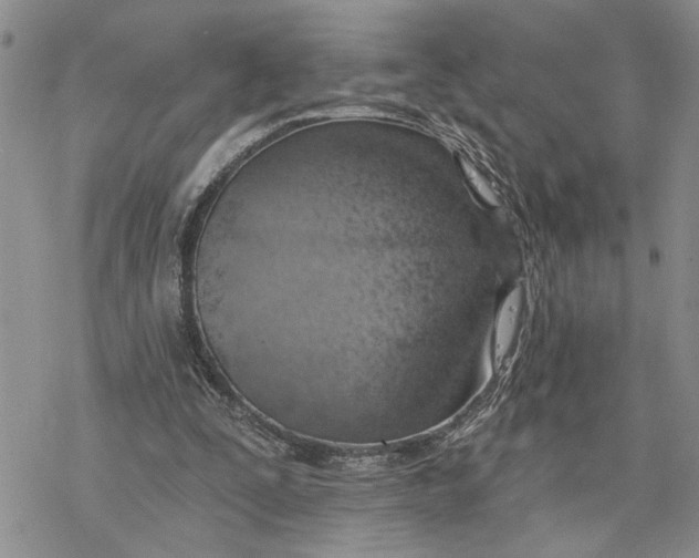 X0000078230295200611251221