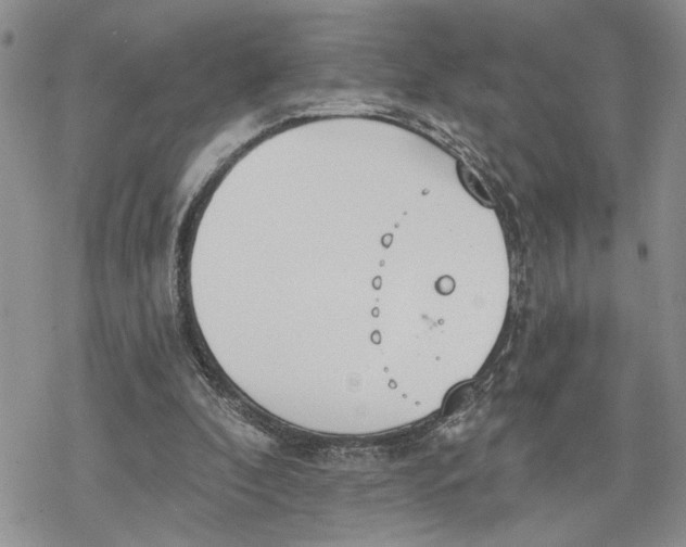 X0000078230296200611251221