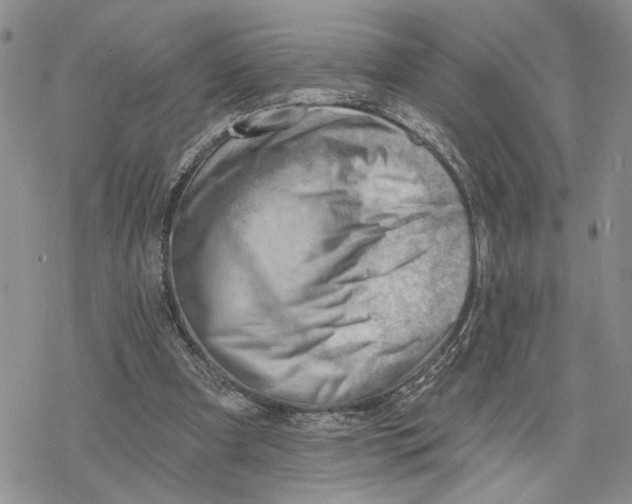 X0000078230297200611251221