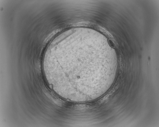 X0000078230298200611251221